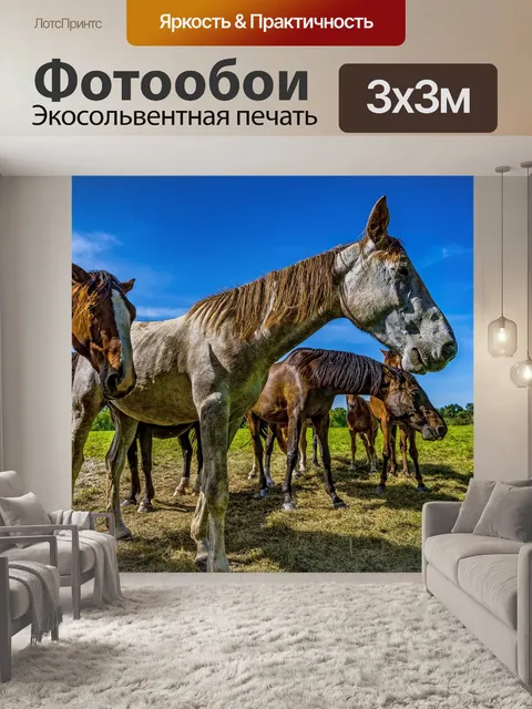 Фотообои Лошади