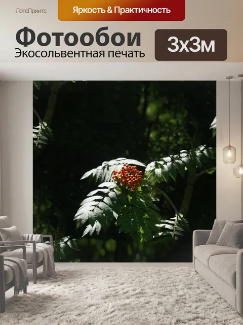 Фотообои Красная лесная папоротниковая ягода