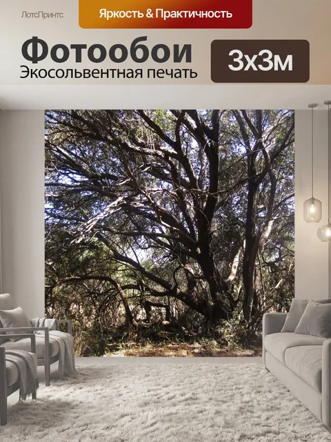 Фотообои большое дерево с крепкими ветвями