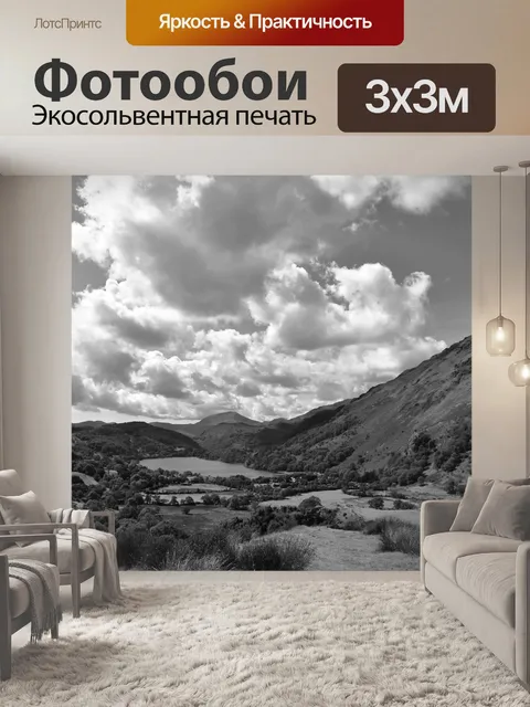 Фотообои Черно-белый