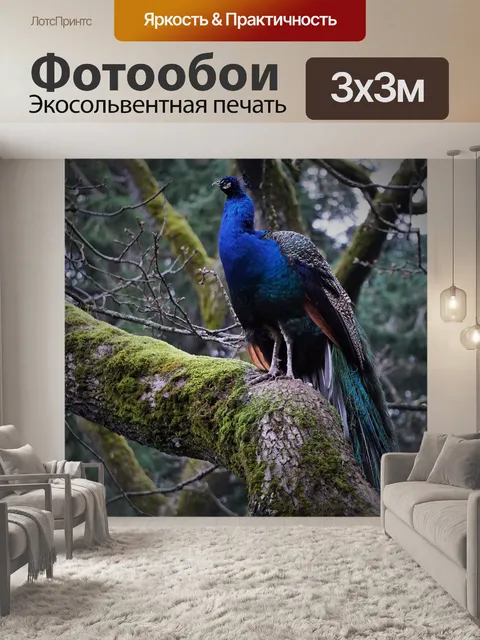 Фотообои Павлин