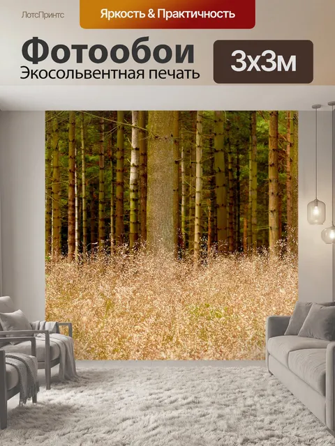 Фотообои Лес