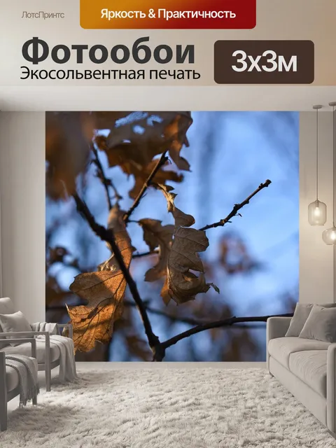 Фотообои Лист