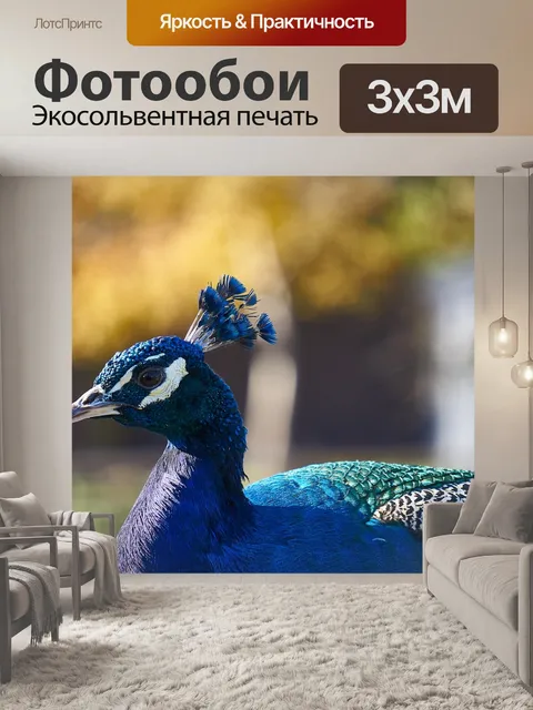 Фотообои Павлин