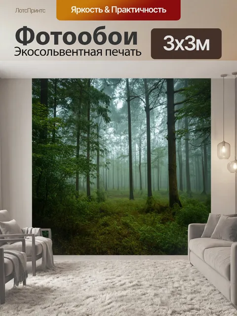 Фотообои лес с влажным лесом, где деревья покрыты испариной от утреннего тумана
