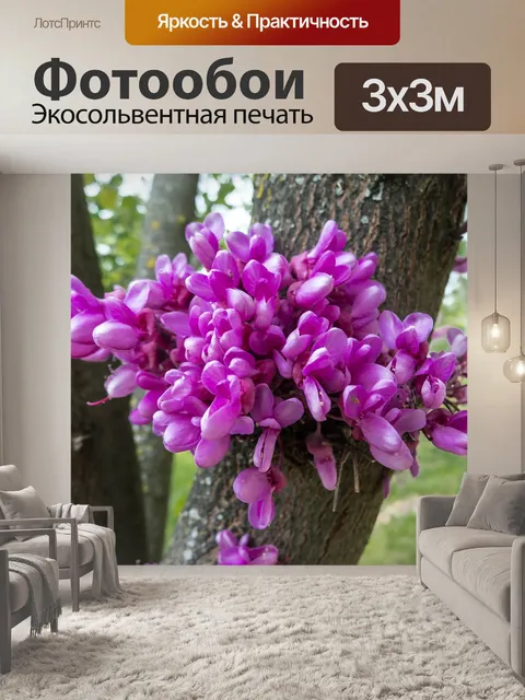 Фотообои Цветы