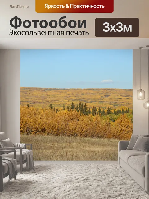 Фотообои Осень желтыми листьями Хилл
