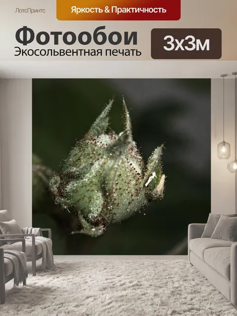 Фотообои Весна