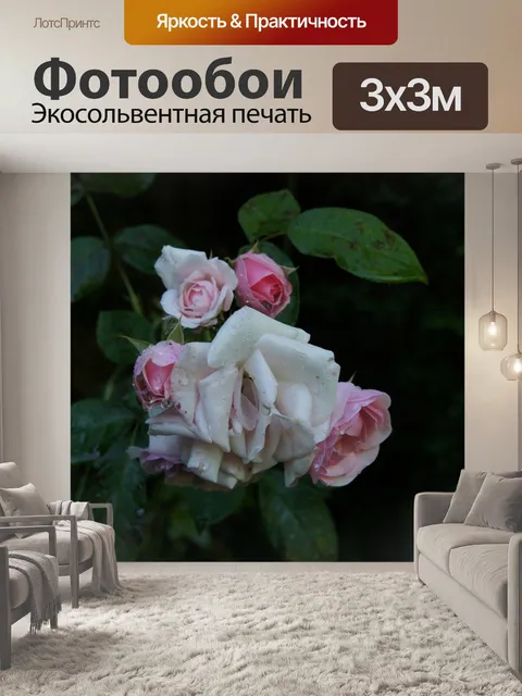 Фотообои Розы