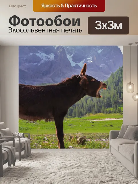 Фотообои Попка