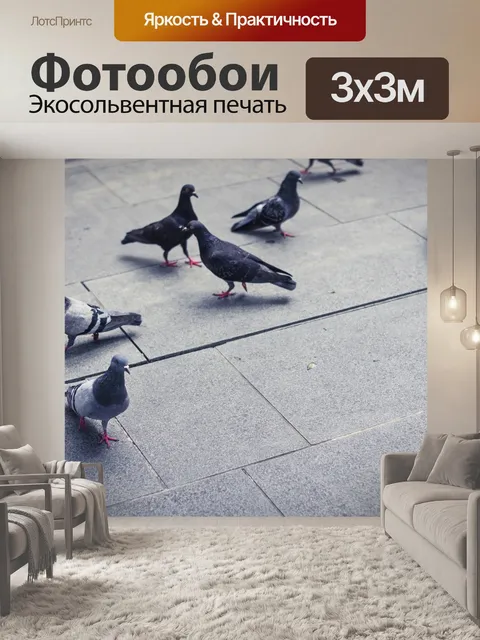 Фотообои Птица