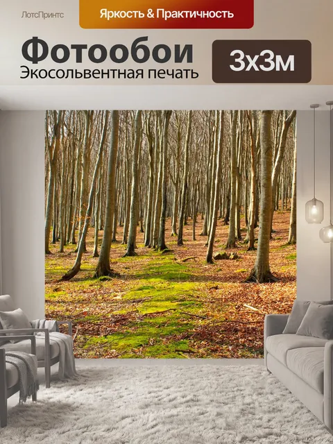 Фотообои Лес