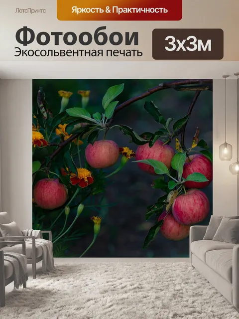 Фотообои Яблоко