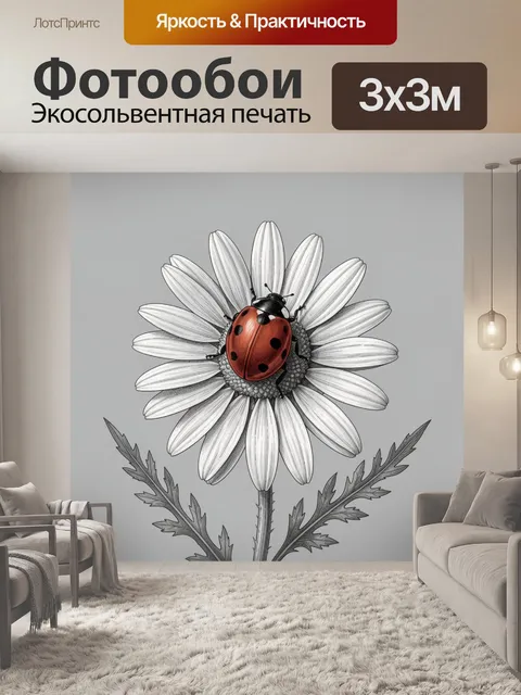 Фотообои Божья коровка на ромашке