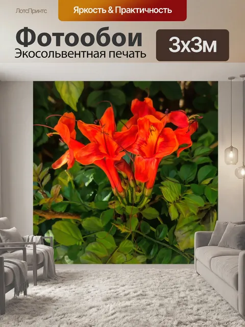 Фотообои Цветы