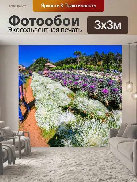 Фотообои Дои Анг Кханг, Чианг Май, Таиланд