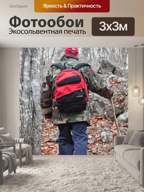 Фотообои Путешественник 1