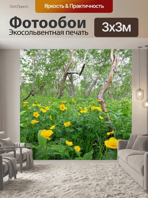 Фотообои Лес