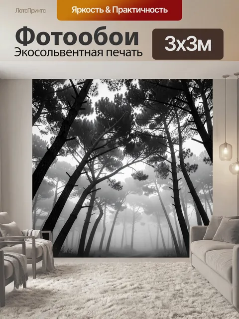 Фотообои Туманный сосновый лес