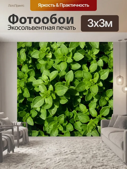 Фотообои Бэзил