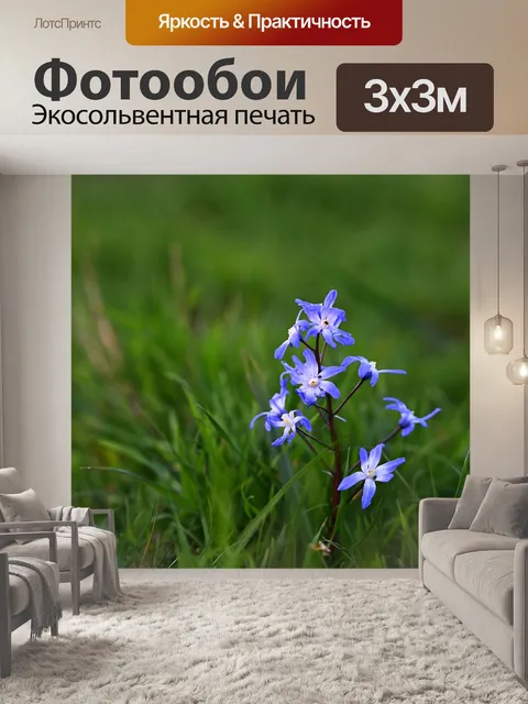 Фотообои Цветы