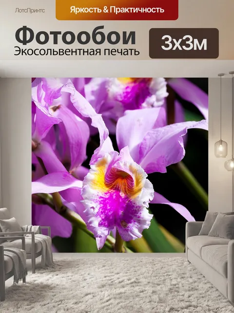 Фотообои Орхидея