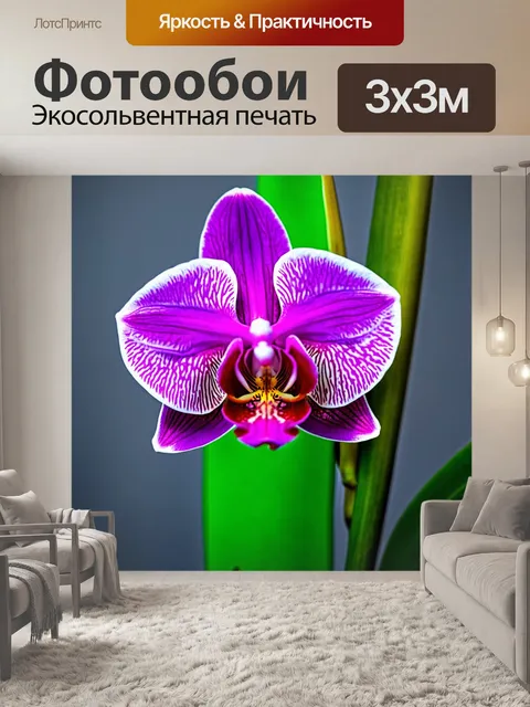 Фотообои орхидея в художественной абстракции, с яркими цветами и формами