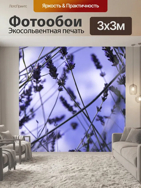 Фотообои Цветок лаванды