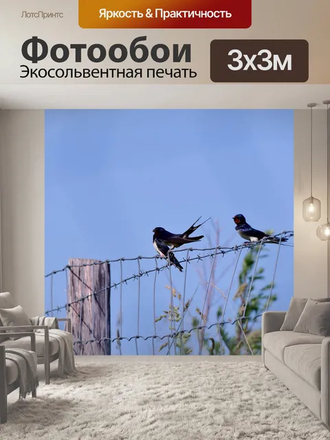 Фотообои Ласточки