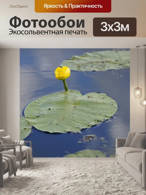 Фотообои Водяная лилия