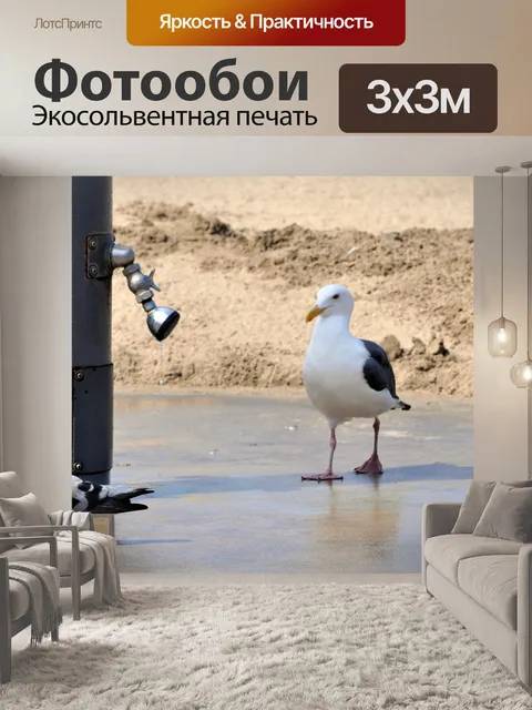 Фотообои Жаждущие птицы