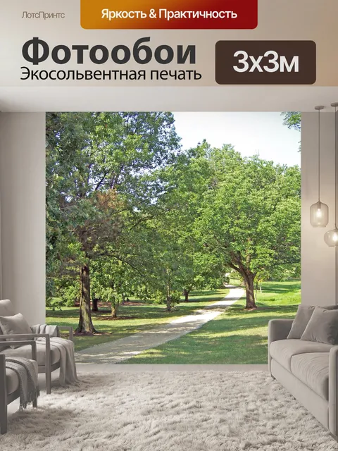 Фотообои Путь через деревья