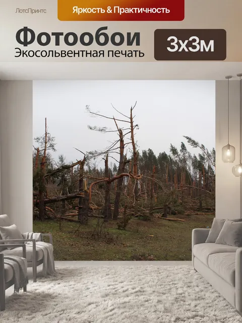 Фотообои Дерево