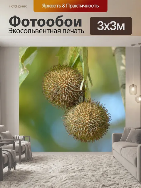 Фотообои Дерево