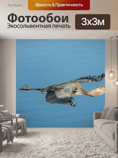 Фотообои Птица
