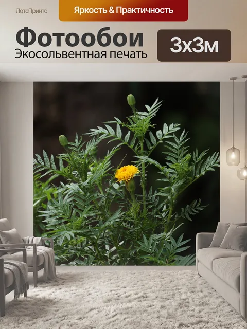 Фотообои Цветы