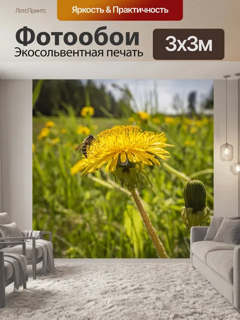 Фотообои Одуванчик