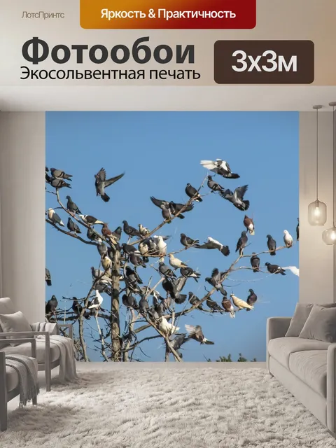 Фотообои Дикие голуби