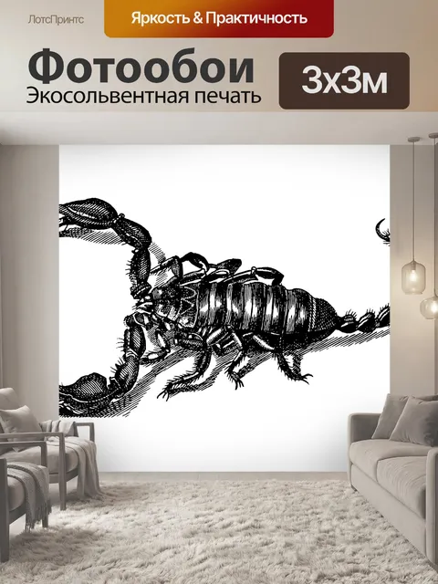 Фотообои Винтажная иллюстрация Скорпиона