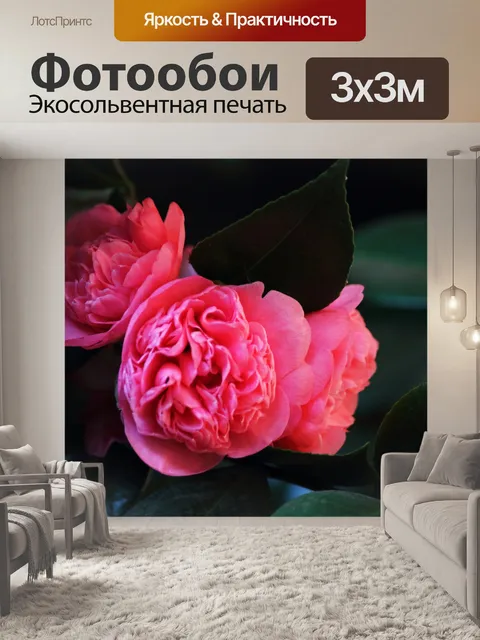 Фотообои розовые цветы японки и зеленые листья