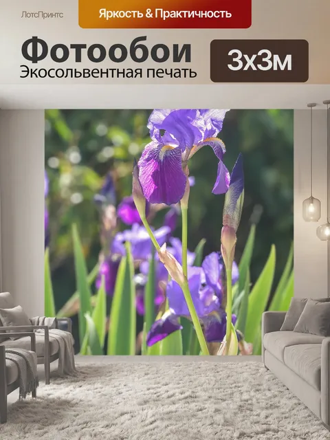 Фотообои Цветы