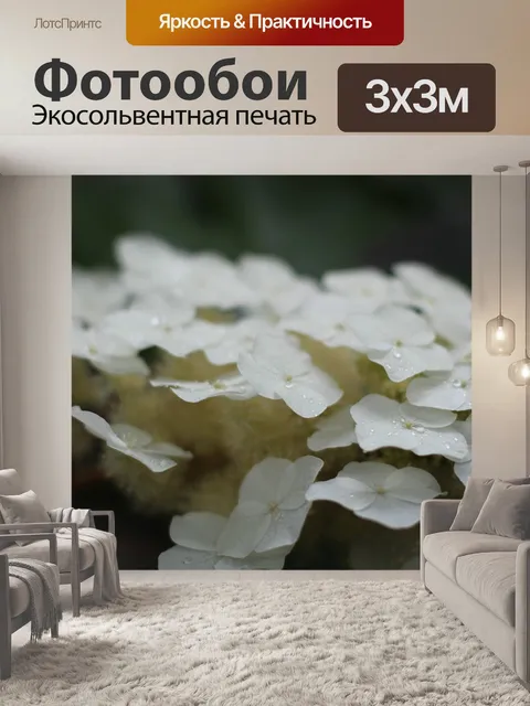 Фотообои Цветы