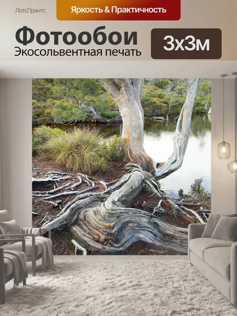 Фотообои Дерево