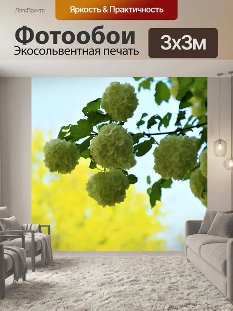 Фотообои Цветы