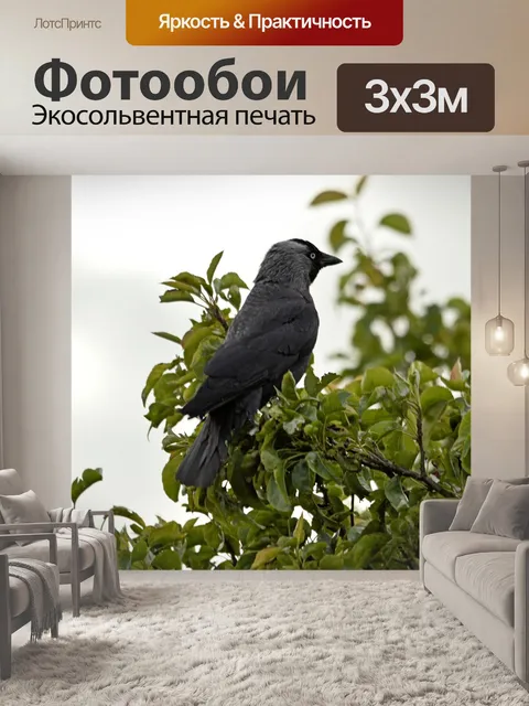 Фотообои Черная птица