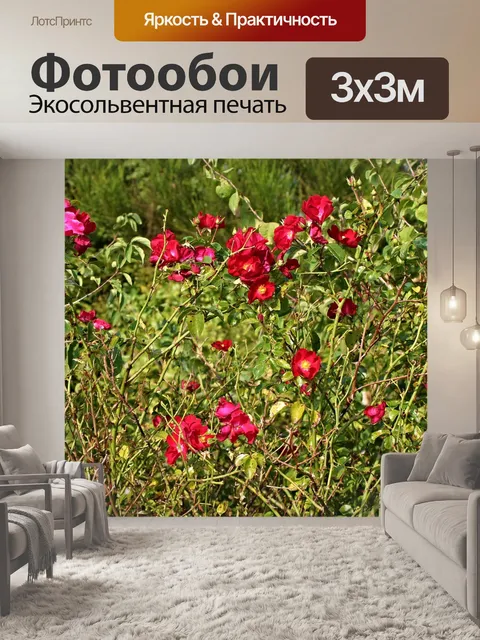 Фотообои Розовый куст