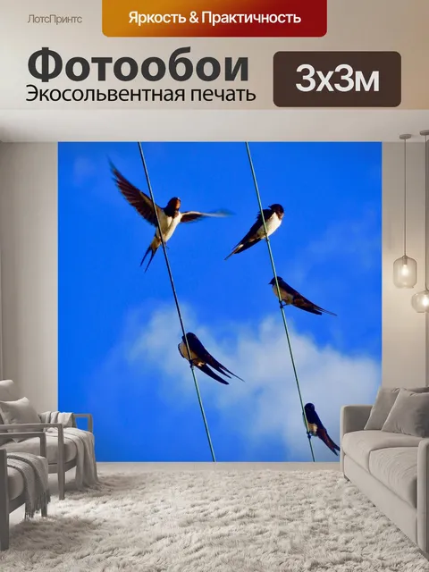 Фотообои Ласточки