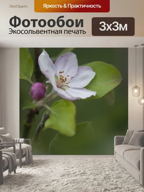 Фотообои Цветок