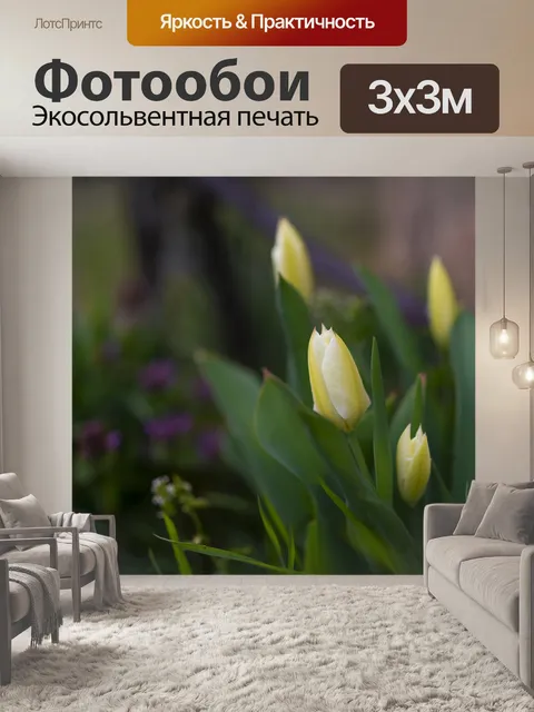 Фотообои Тюльпаны