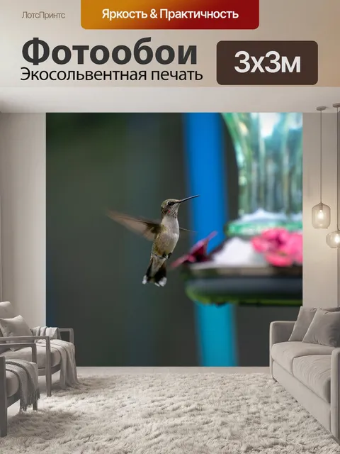 Фотообои Птица